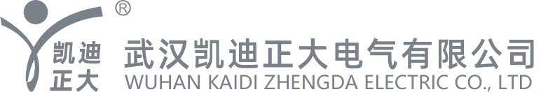 武漢凱迪正大公司